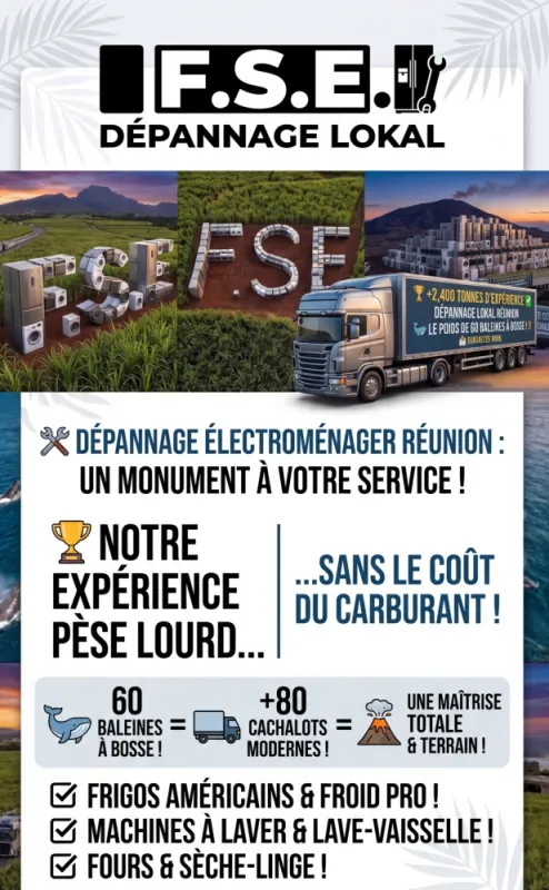 Expert Dépannage Électroménager Réunion  F.S.E 2400 Tonnes