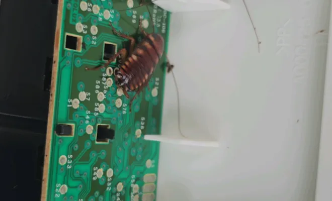 Dans l'Ombre Les Ennemis Silencieux de Nos Maisons