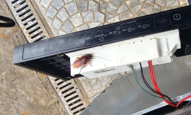 Le Fléau Invisible Quand les Cafards s'Installent