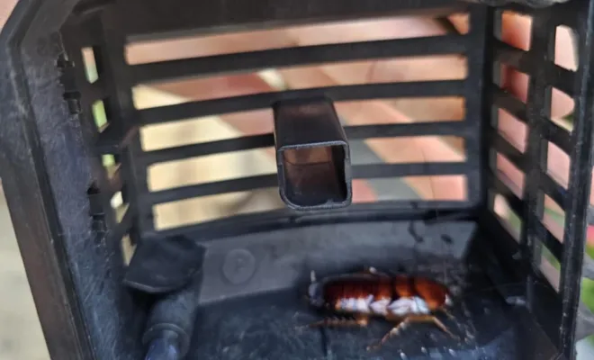 Nouveaux Colocataires (sans loyer)